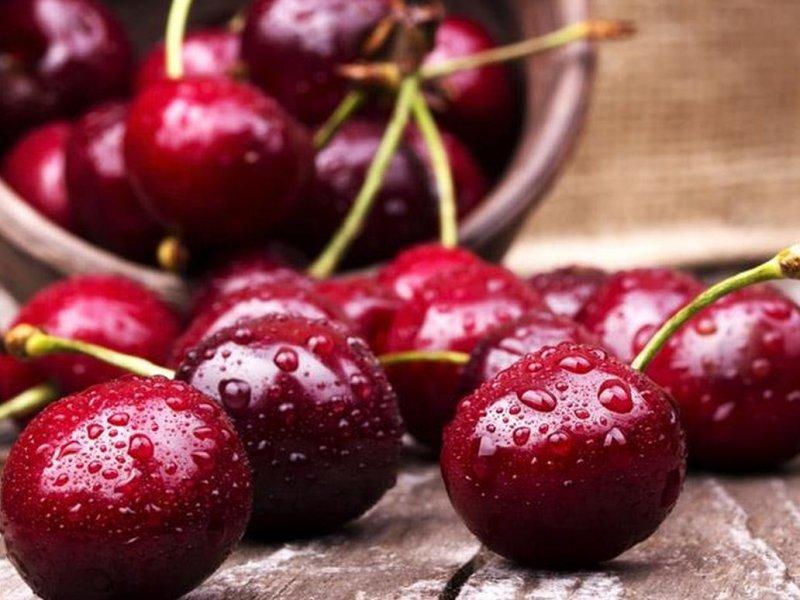 Вишня купить саженцы из питомника в Новом Уренгое